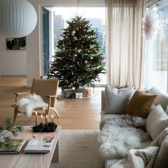 Oh Tannebaum. Oh Tannebaum.