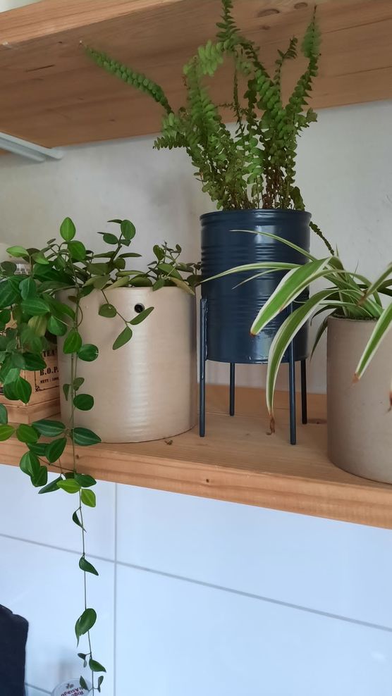 Pflanzen sind einfach beruhigend.... Pflanzen sind einfach beruhigend....