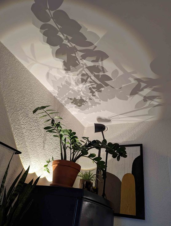 Bild von Tjana Bild von Tjana