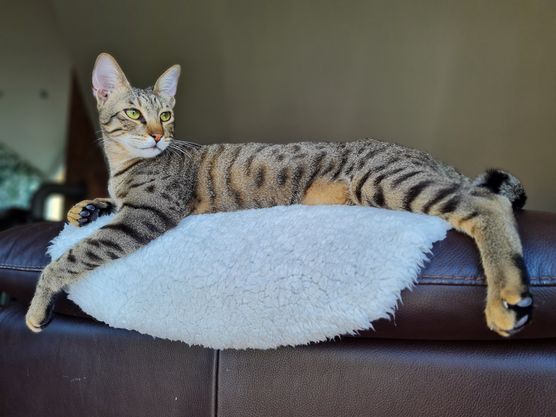 Wozu noch Deko wenn Wozu noch Deko wenn