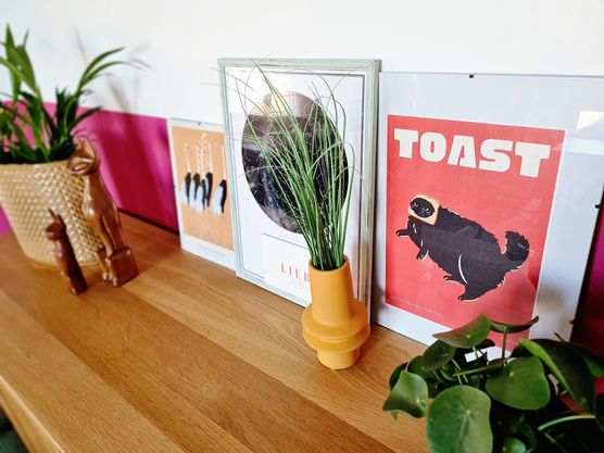 ich liebe Katzen und ich liebe Katzen und