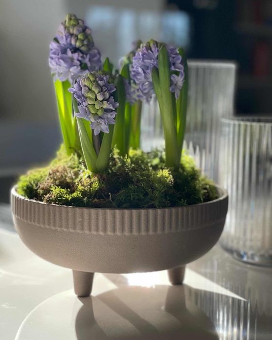 Bild von h16design Bild von h16design