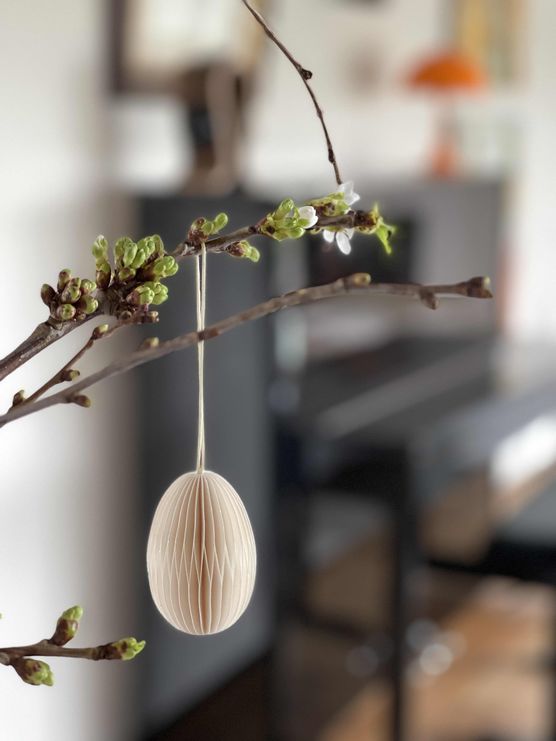 Bild von h16design Bild von h16design