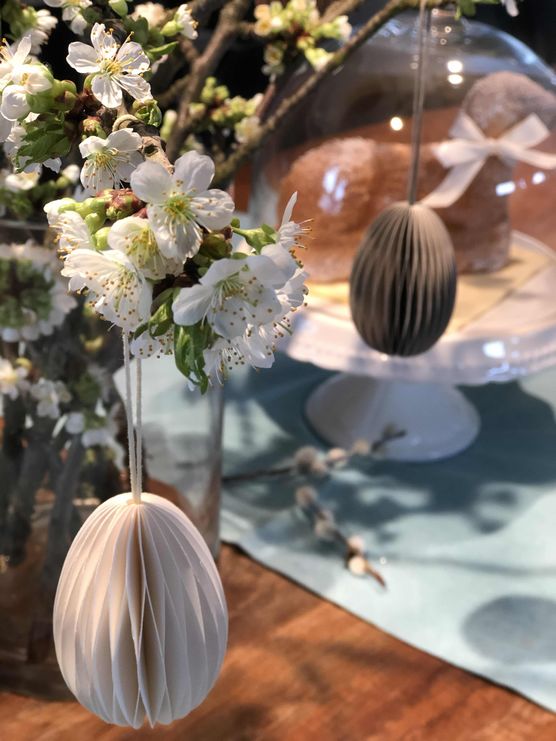 Bild von h16design Bild von h16design