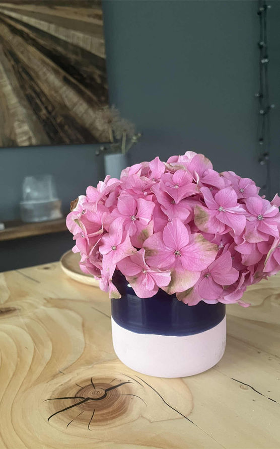 Bild von KatharinaZir Bild von KatharinaZir