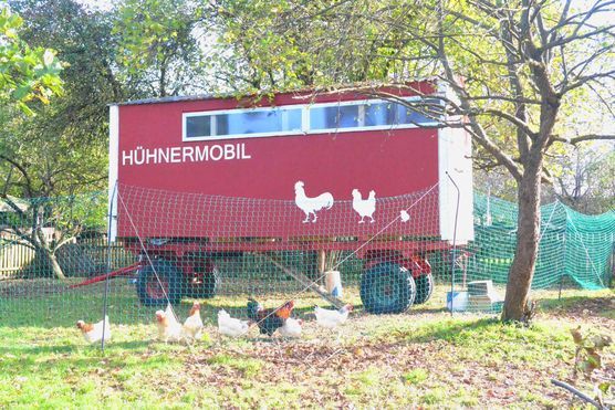 Fotofrage Lust auf Frühling Fotofrage Lust auf Frühling