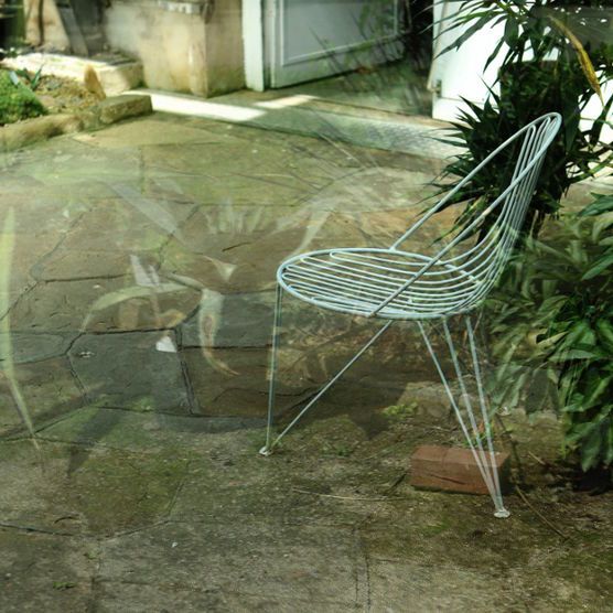 Kurzurlaub im Tropenhaus Dortmund Kurzurlaub im Tropenhaus Dortmund