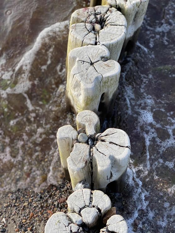 Bild von Miri Richter Bild von Miri Richter