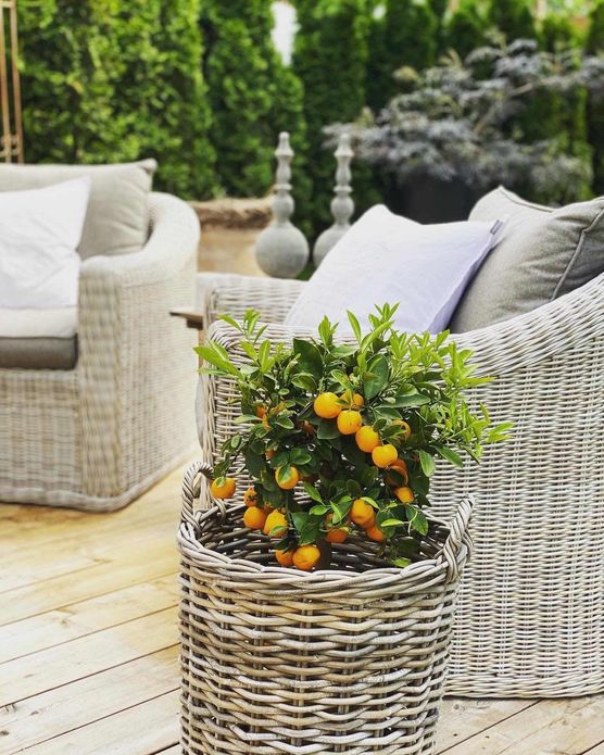 Bild von Miri Richter Bild von Miri Richter