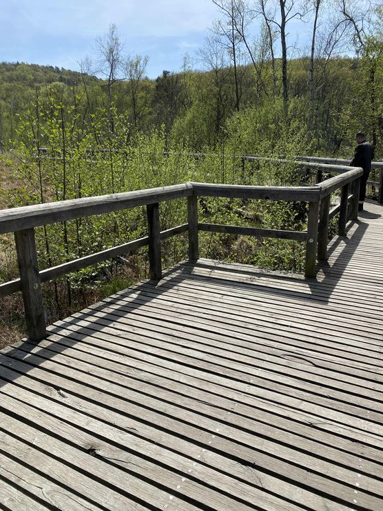 Bild von Miri Richter Bild von Miri Richter