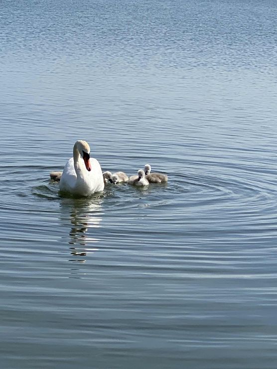 Bild von Miri Richter Bild von Miri Richter