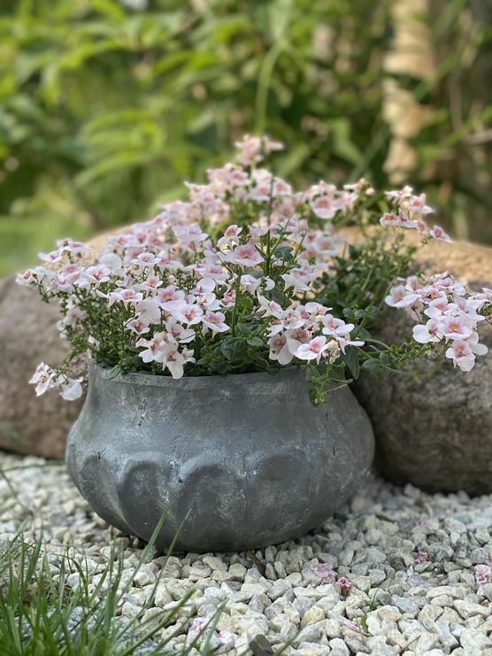 Bild von Strandhaus Living Bild von Strandhaus Living