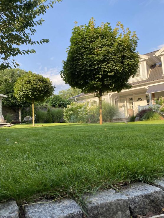 Bild von Strandhaus Living Bild von Strandhaus Living