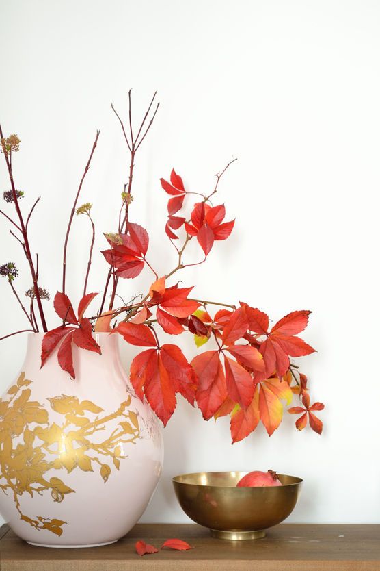 Herbstleuchten Herbstleuchten