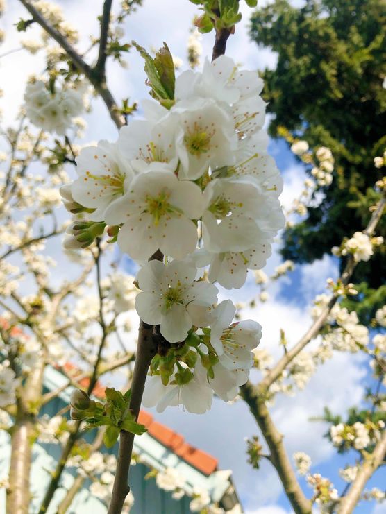 Bild von Kathy79 Bild von Kathy79