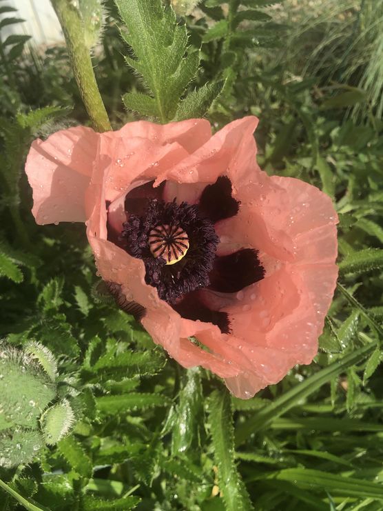 Bild von Kathy79 Bild von Kathy79