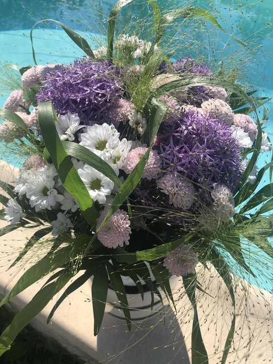 Bild von Kathy79 Bild von Kathy79