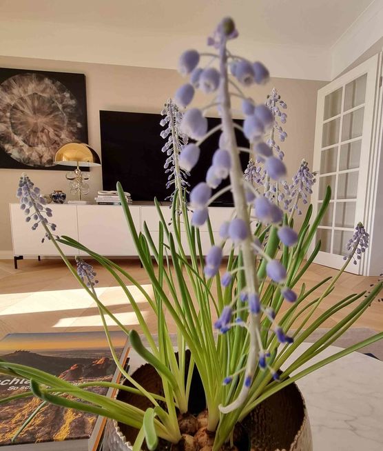 Bild von my.mo.home Bild von my.mo.home