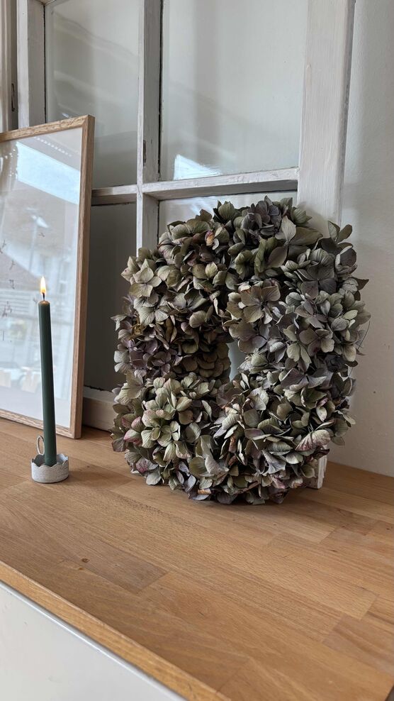 Bild von alive Bild von alive