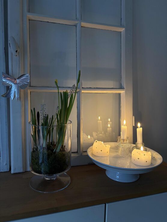 Bild von alive Bild von alive