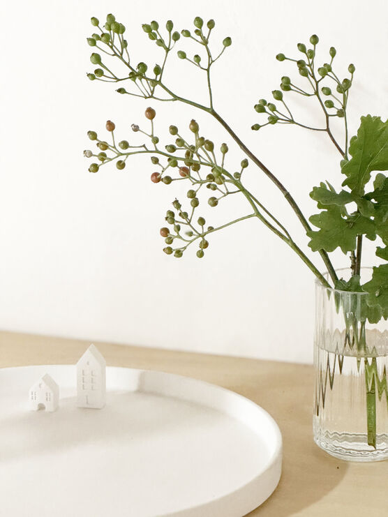 Mitbringsel aus Dänemark....
nee, nee, Mitbringsel aus Dänemark....
nee, nee,