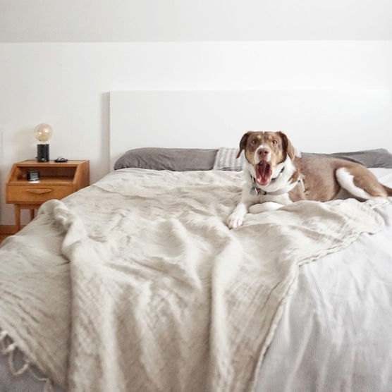 Bild von frauandersschoen Bild von frauandersschoen