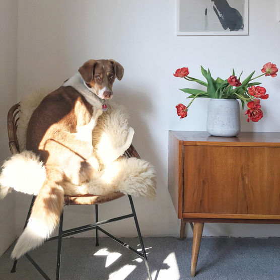 Bild von frauandersschoen Bild von frauandersschoen