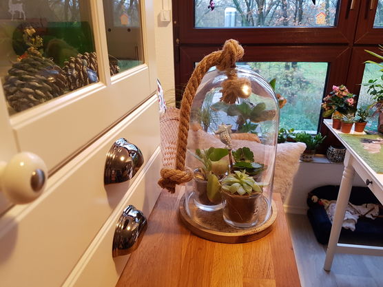 Pflanzen sind mir wichtig, Pflanzen sind mir wichtig,