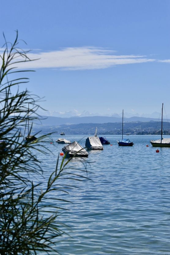 La dolce vita ❤️ La dolce vita ❤️