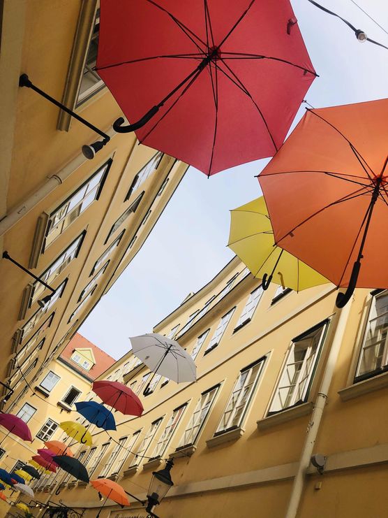 Bild von Fraeulein Naturgruen Bild von Fraeulein Naturgruen