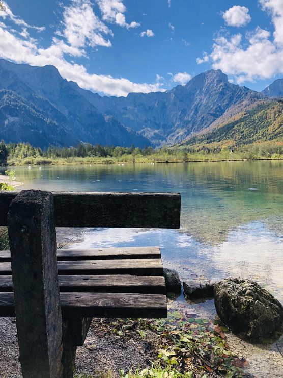 Bild von Fraeulein Naturgruen Bild von Fraeulein Naturgruen