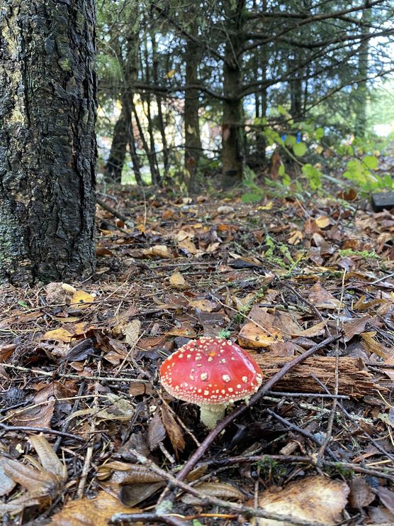 Bild von Nine002 Bild von Nine002