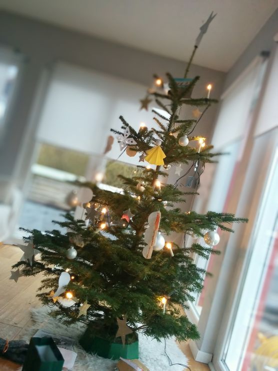 Kinderbaum Kinderbaum