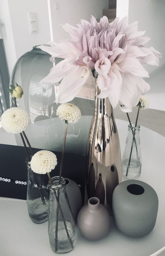 Endlich........die Dahlien blühen im Endlich........die Dahlien blühen im