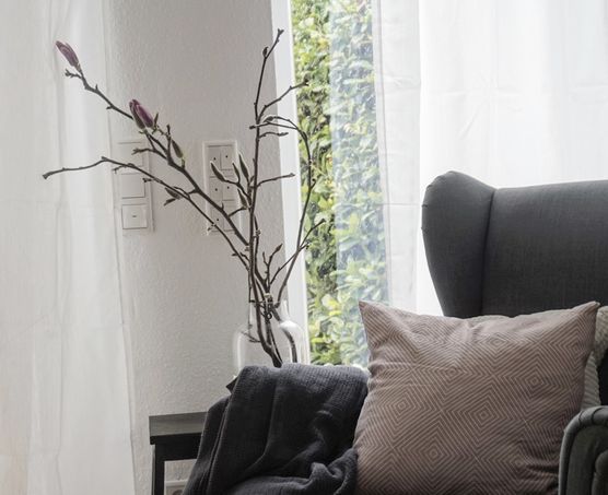 Große Magnolienliebe Große Magnolienliebe