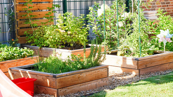 Bild von Herzensdinge Bild von Herzensdinge