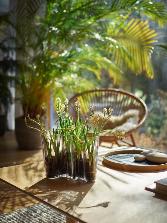 Wenigstens Frühling im Glas...während Wenigstens Frühling im Glas...während