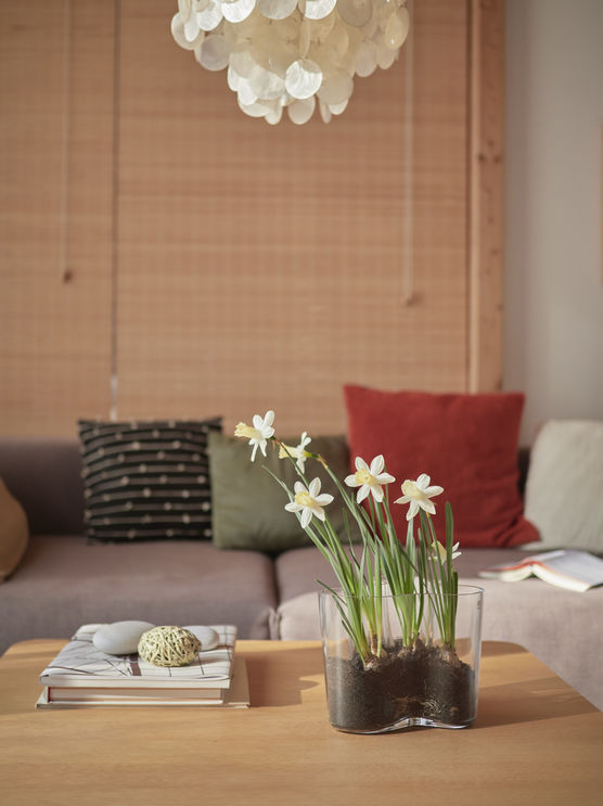 Endlich Frühling in der Endlich Frühling in der