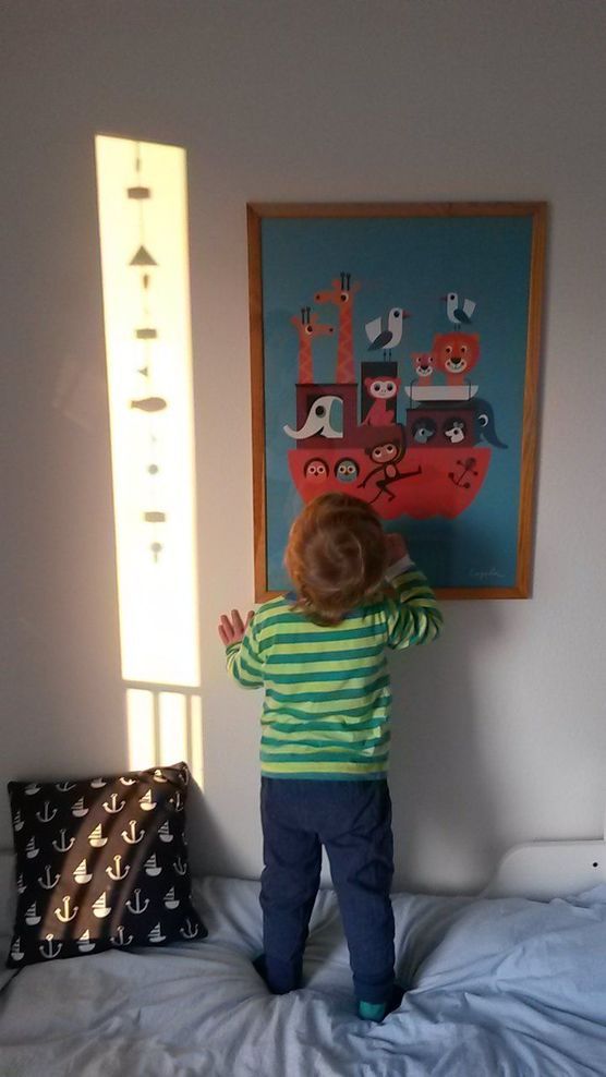 Sonnenstrahlen... Sonnenstrahlen...