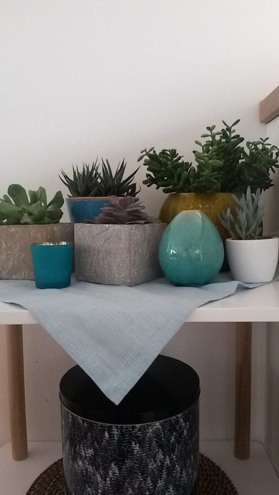 Sukkulentenliebe Sukkulentenliebe