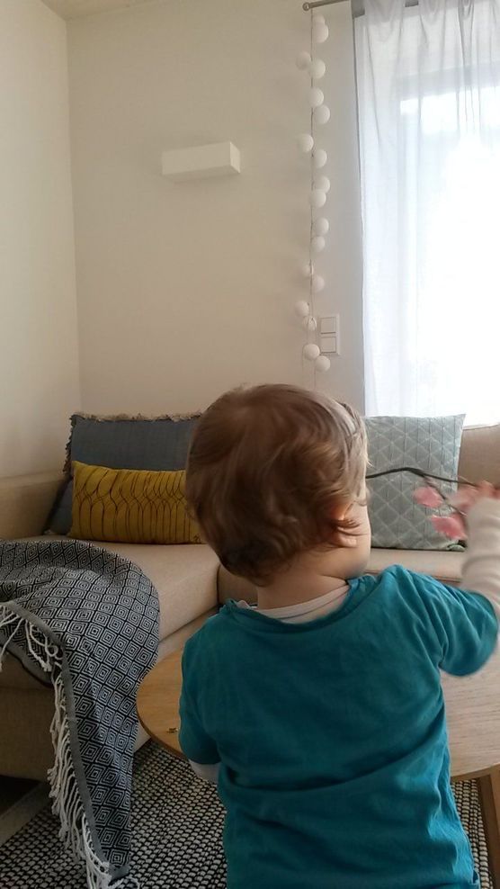 Hinter den Kulissen von SLI Hinter den Kulissen von SLI