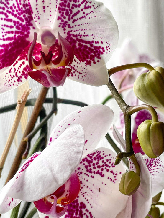 Bild von sarah b Bild von sarah b