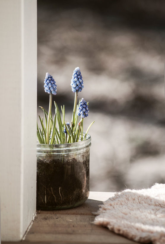 Ein Hauch von Frühling Ein Hauch von Frühling