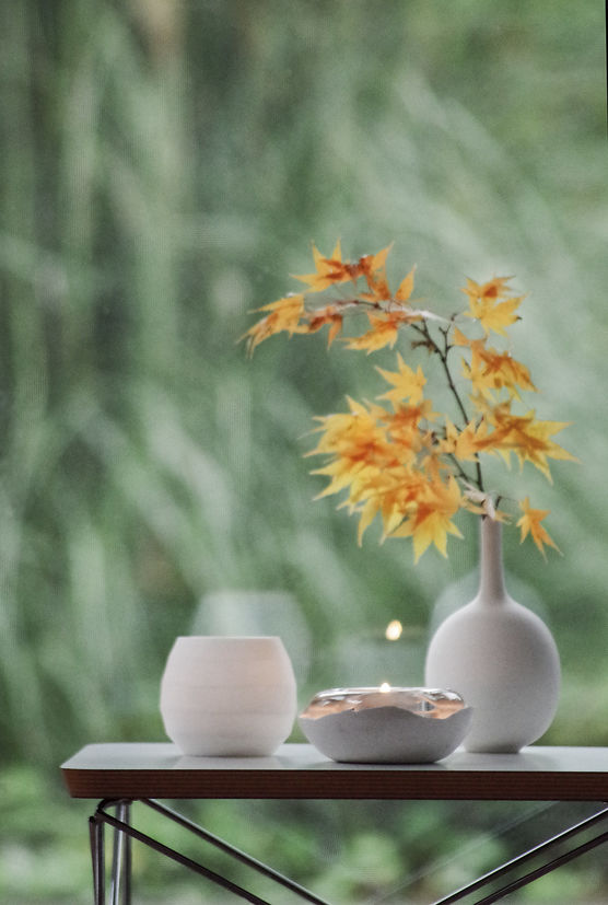 Lieblingsvasenfoto ausgebuddelt aus den Lieblingsvasenfoto ausgebuddelt aus den