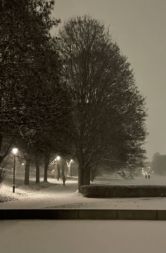 Vigeland Skulpturenpark … und Vigeland Skulpturenpark … und