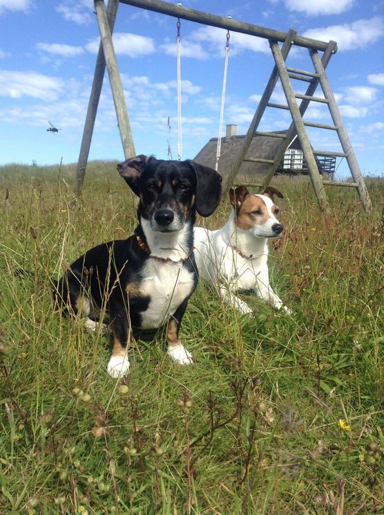 Meine zwei süßen.... Meine zwei süßen....