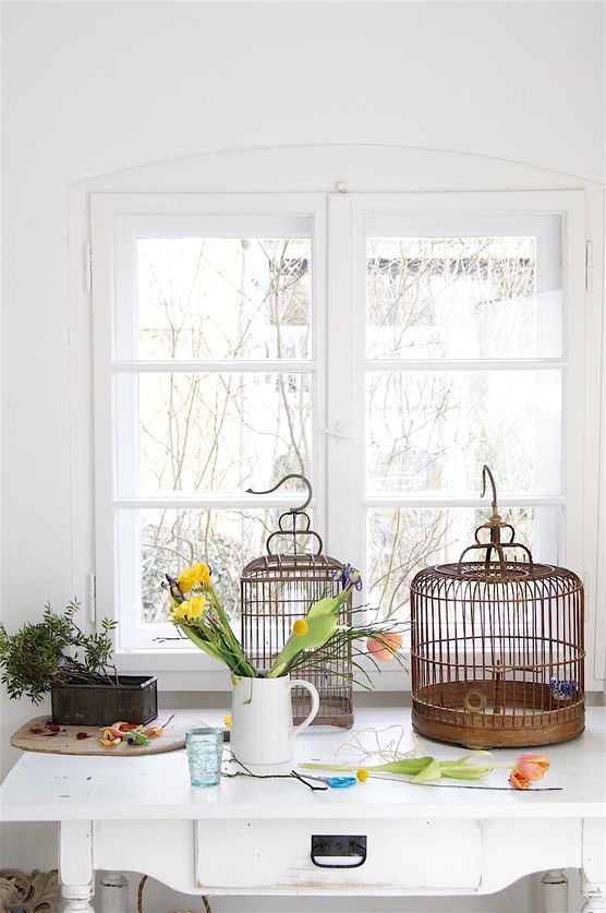 Preparing for spring... Preparing for spring...