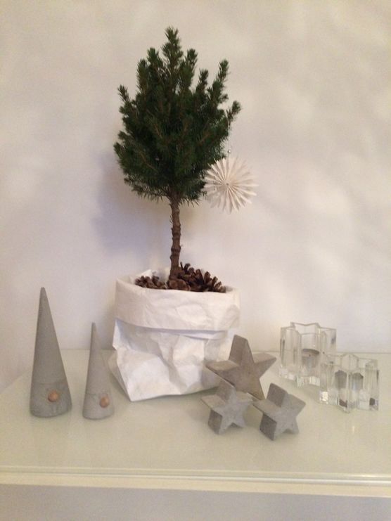 Lieblings-Tannenbaum Lieblings-Tannenbaum