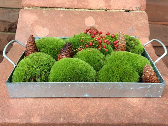 Adventszeit ist bei mir Adventszeit ist bei mir