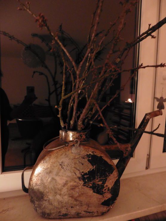 Barbarazweige in alter Blechkanne Barbarazweige in alter Blechkanne